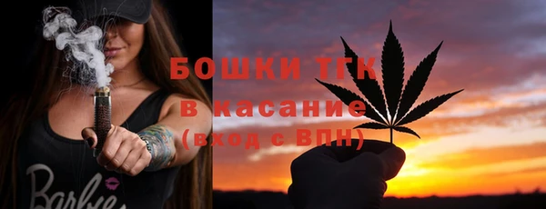 эйфоретик Арсеньев