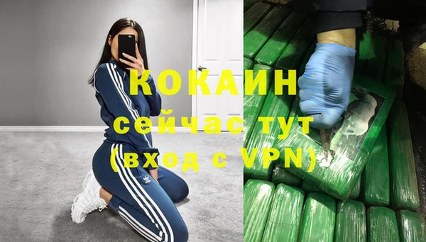 стафф Бородино