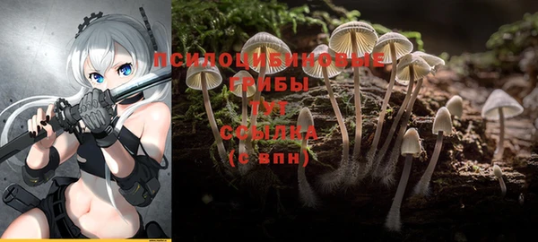 марки nbome Армянск