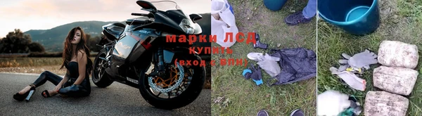 эйфоретик Арсеньев