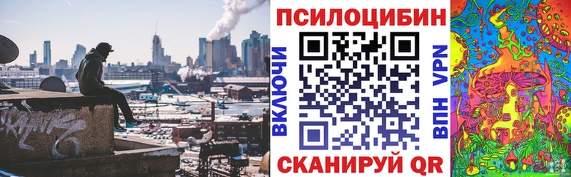 сколько стоит  Углич  Галлюциногенные грибы Psilocybine cubensis 